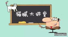 你知道1.4T和1.4L之间的小猫是脂肪吗？