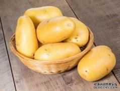 你能吃高血糖值的“马铃薯”吗？很多