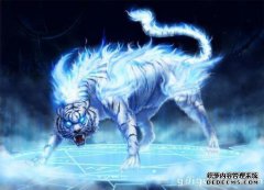 十二星座是专属的守护兽，金牛座是三