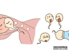 在怀孕期间跑得更慢的人在哪里，最后