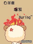 在这个小小的善良中，三个最脆弱的星