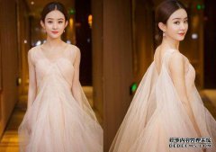 回首Kate穿着孕妇水钻薄纱裙的华丽礼服