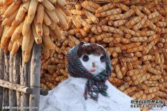 如果你不吃“东北4冻”，在东北你不能