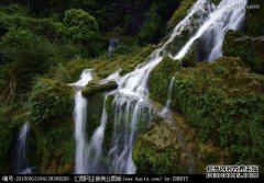 在2019年，大海充满了长寿和黄道带。