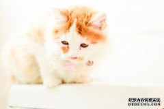 您是否仍然对错过的刺猬NICE校园的访问