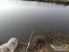 我抓到两条小而美丽的鱼。有些人在渔