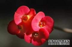 有一个漂亮的外观是很好的，这也是很