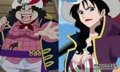 海贼王：嘿！最新的信息卡被公布，有