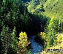 盛大而独特的沟槽师，产品，福利，甘