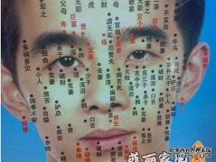 脸部的不同部位有不同的长度，它们代