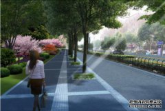 谁说树木，路灯，管道，人行道都可以