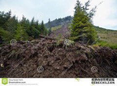 菲律宾的暴力袭击造成了崩溃，死亡人