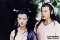 苗巧伟的相对不受欢迎的伪装剧，三个