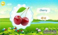 这种水果非常便宜，但它适合宝宝的大