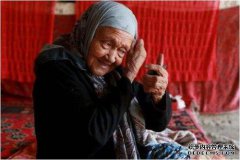 谁是Elby的五位长老？他们的平均年龄超