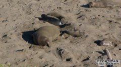 长度21.8公里，总长度超过8318万人民币