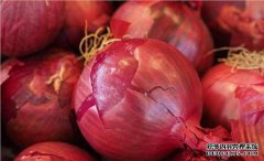 体臭是洋葱吗？