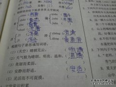 单词组中的单词是什么？