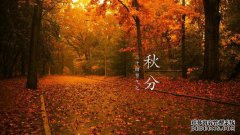 在9月23日秋天，星星又冷又腥，夜晚是