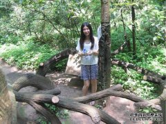 振谷硕和他的祈祷是什么？