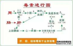 三个灵魂和七个灵魂是什么？