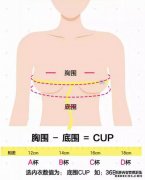 36B内衣是什么意思？