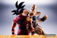 纳帕的红色干投资1