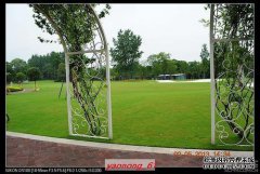 告诉我穷人的口味是什么？XCAR Love Car