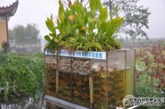 n杨建了297个生活污水处理设施，用于处