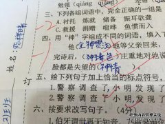 口渴小组的语言是什么？