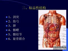 [痛苦是什么？]