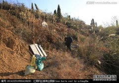 我如何举起坟墓？