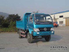 Elsia，Elsia mp3（中国舞曲）