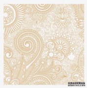 佩斯利花纹（佩斯利）