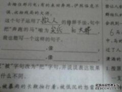 句子是什么样的？