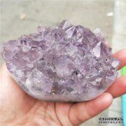 天然白紫水晶刺猬白紫水晶簇原始石刺