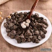 [？桉树种子有什么作用？]