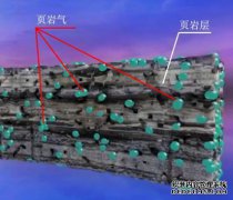 丁阳宇涵[英国媒体：中国减少对进口的