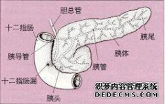 为什么是胰腺癌？