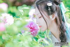 当您折断树枝，讨厌花朵的树枝，假假