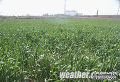 内蒙古，晴间多云，雨水不太好，少于