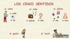 以辅音+结尾的形容词必须更改为i，然后