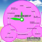 [海外绿桥]在泰国，婴儿试管的价格是多