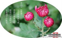 一天就是一天，忙碌的一天就是生活。