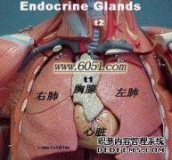 医院适合胸腺瘤，医生适合胸腺瘤治疗