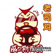 为什么Wells瓷砖在市场上很受欢迎？