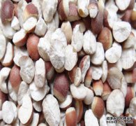 和事实一样吗？