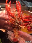 小龙虾怎么样？