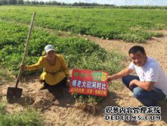 [富劳达肥料]品牌介绍→富劳达肥料