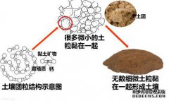 如何确定土壤施肥的深度和位置？